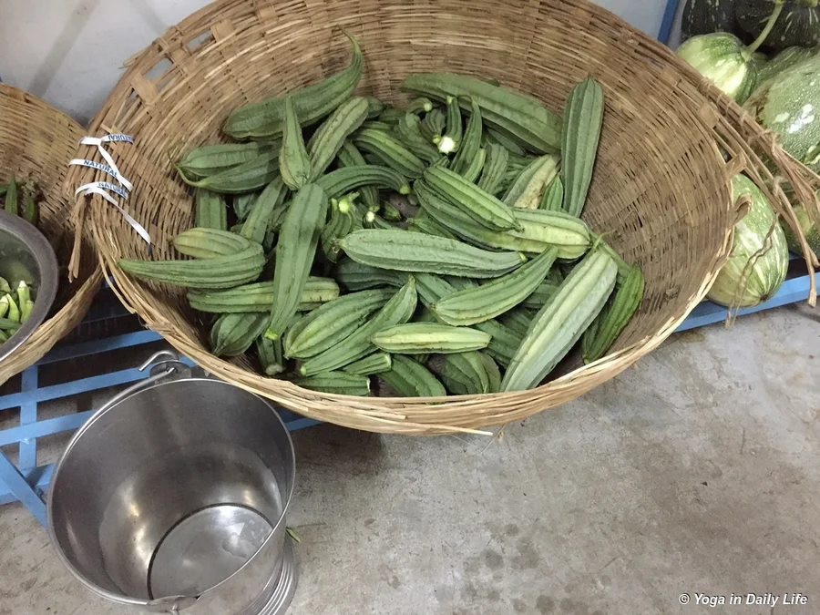 Delicious ridge gourd